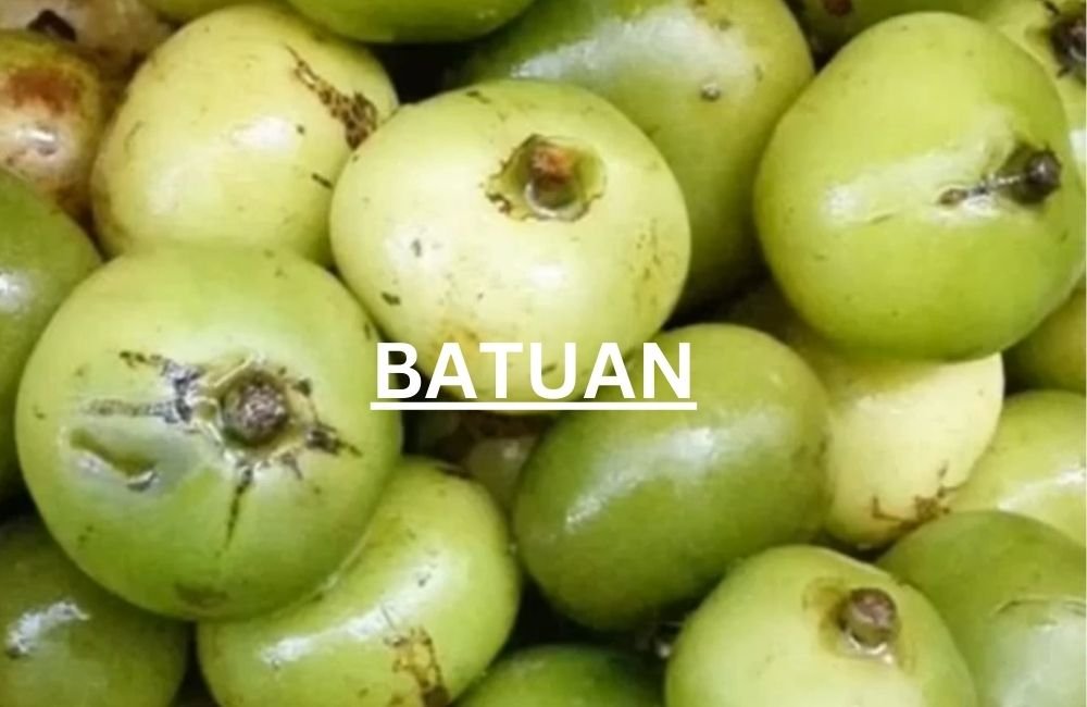 Batuan