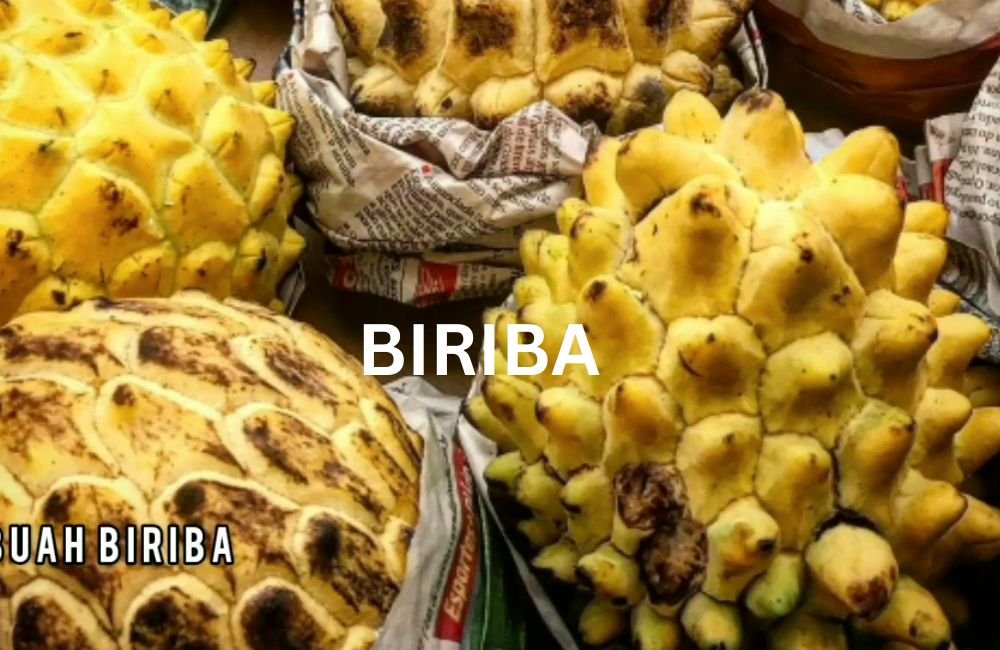 Biriba