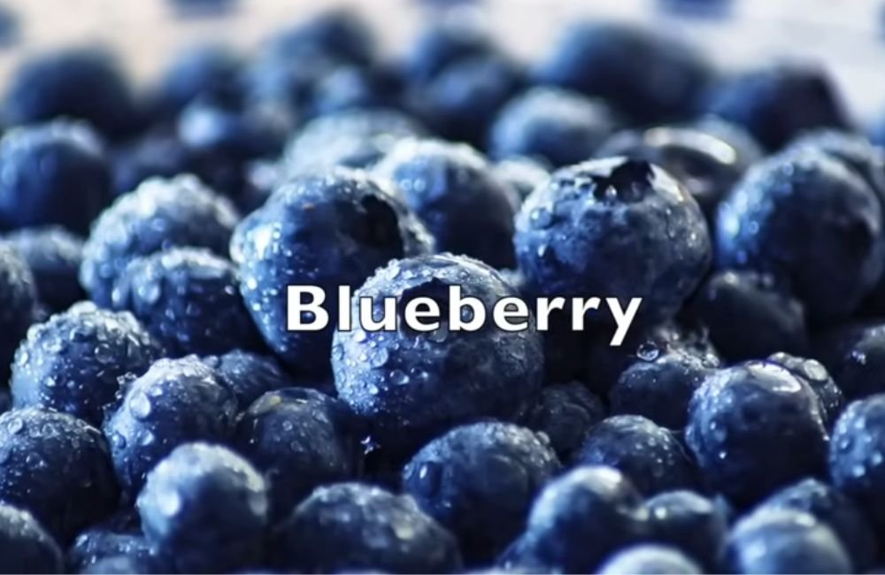Blueberry