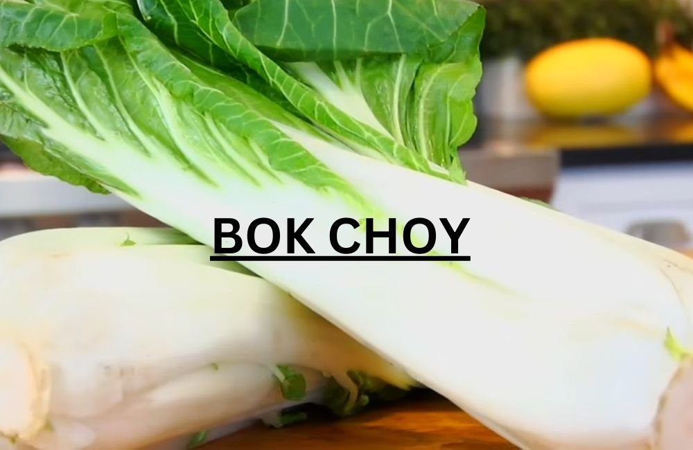 Bok Choy