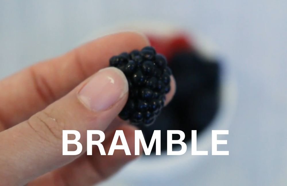 Bramble