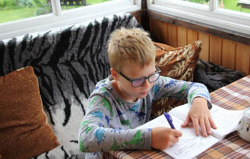 how do i homeschool my child that has prader-willi syndrome