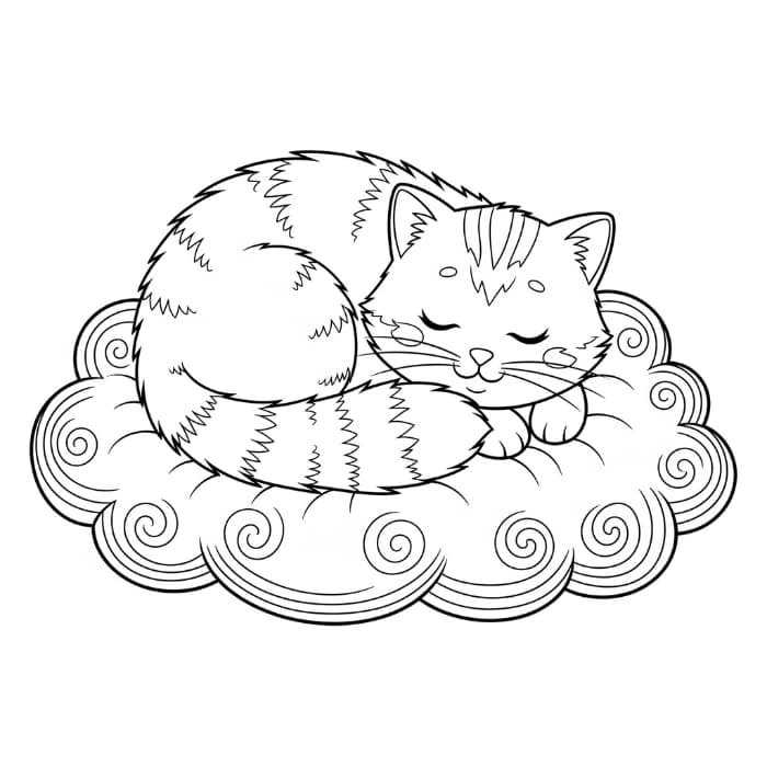 Cat Napping on a Cloud