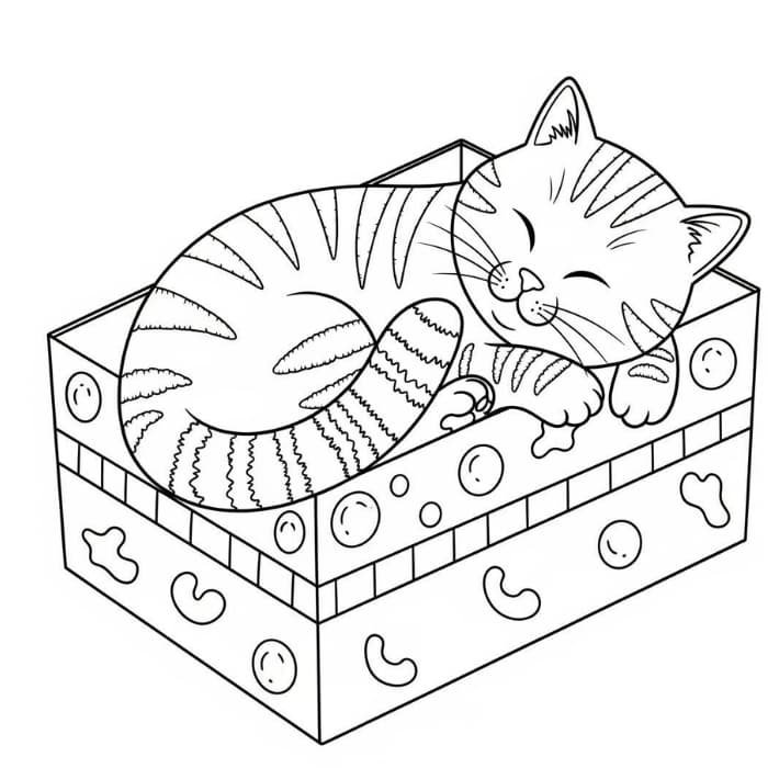 Cat Sleeping in a Cardboard Box