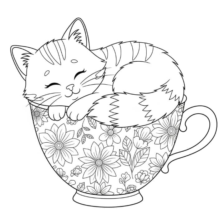 Cat Sleeping in a Tea Cup