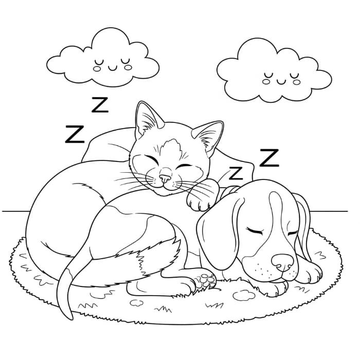 Cat and Dog Napping Together